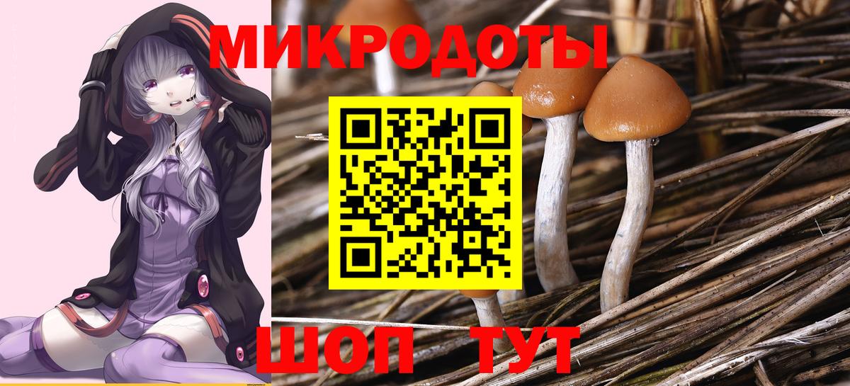 Псилоцибиновые грибы MAGIC MUSHROOMS  Вход с VPN  Кашира 